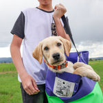 Purple/Green FunLuvin' Collapsible Bucket Bag