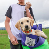 Purple/Green FunLuvin' Collapsible Bucket Bag