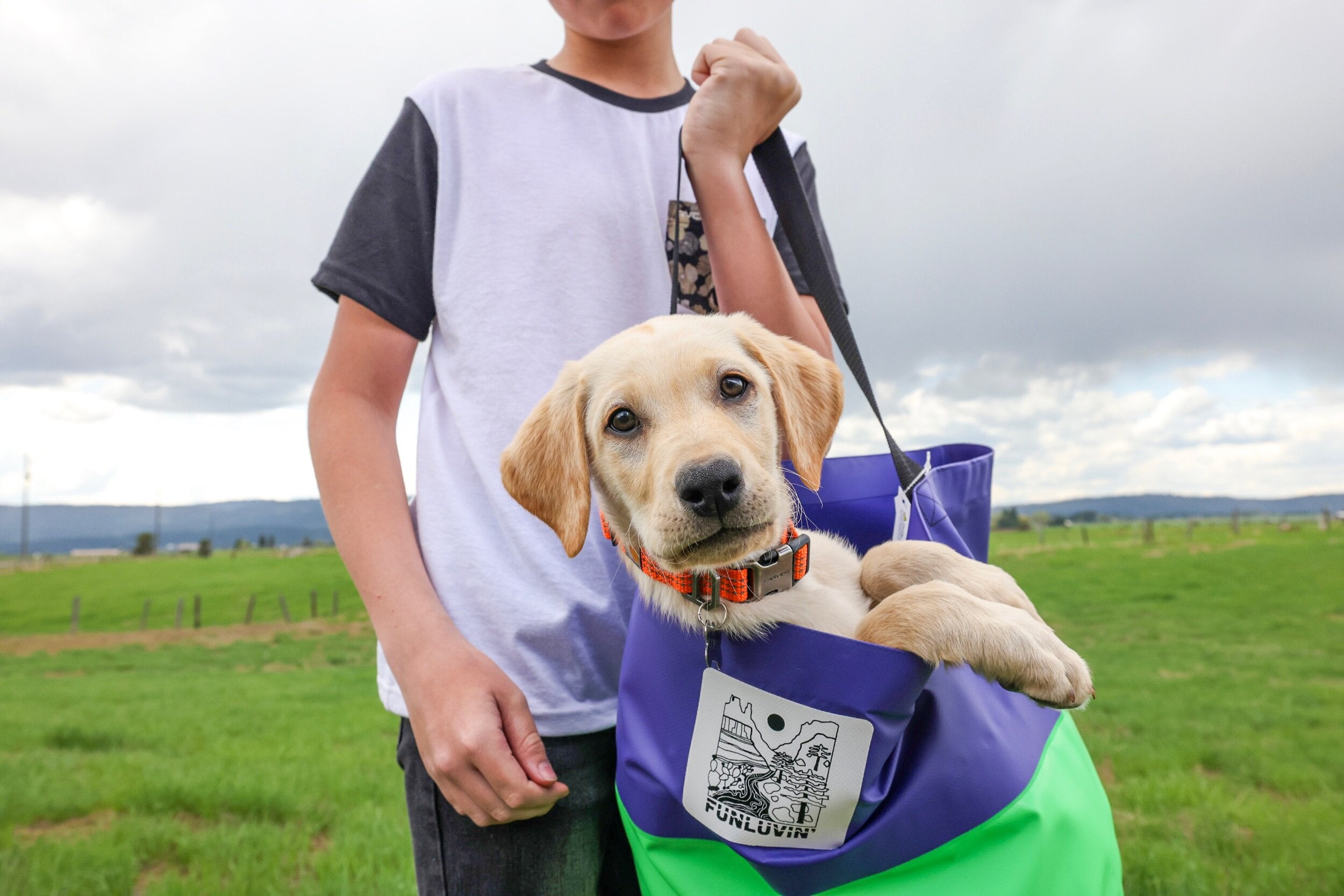 Purple/Green FunLuvin' Collapsible Bucket Bag