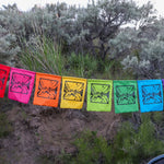 FunLuvin' River Flags